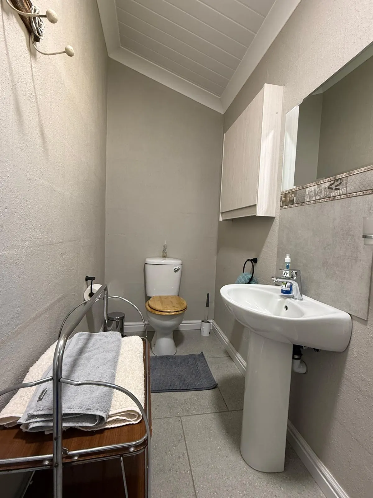 Badkamer met wasbak en toilet